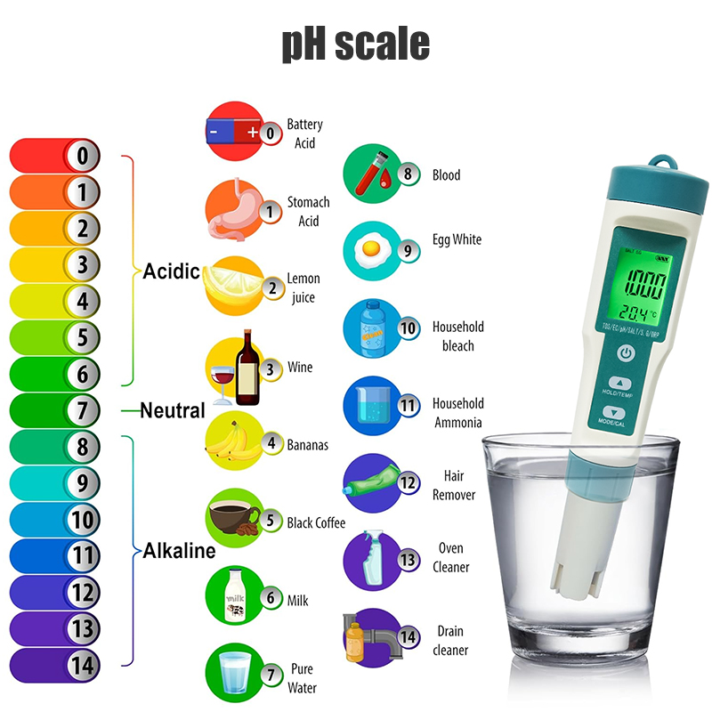 เครื่องวัดค่า PH ดิจิตอล WESTT - Ph Meter Digital Water Tester บทวิจารณ์และราคา