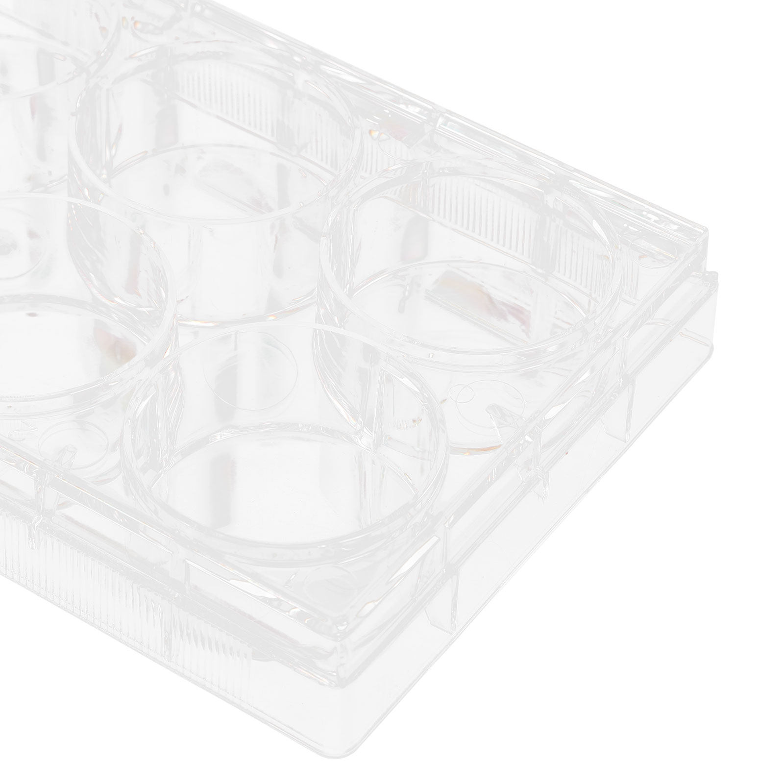 ถาดเพาะเลี้ยงเซลล์แบบทนทาน ออก - Lab Equipment บทวิจารณ์และราคา