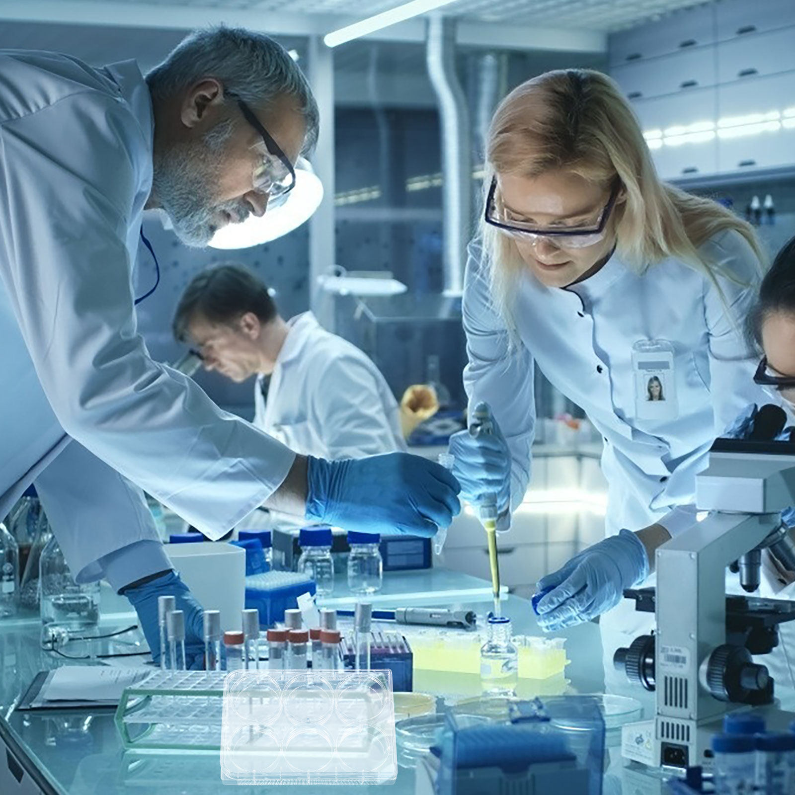 ถาดเพาะเลี้ยงเซลล์แบบทนทาน ออก - Lab Equipment บทวิจารณ์และราคา