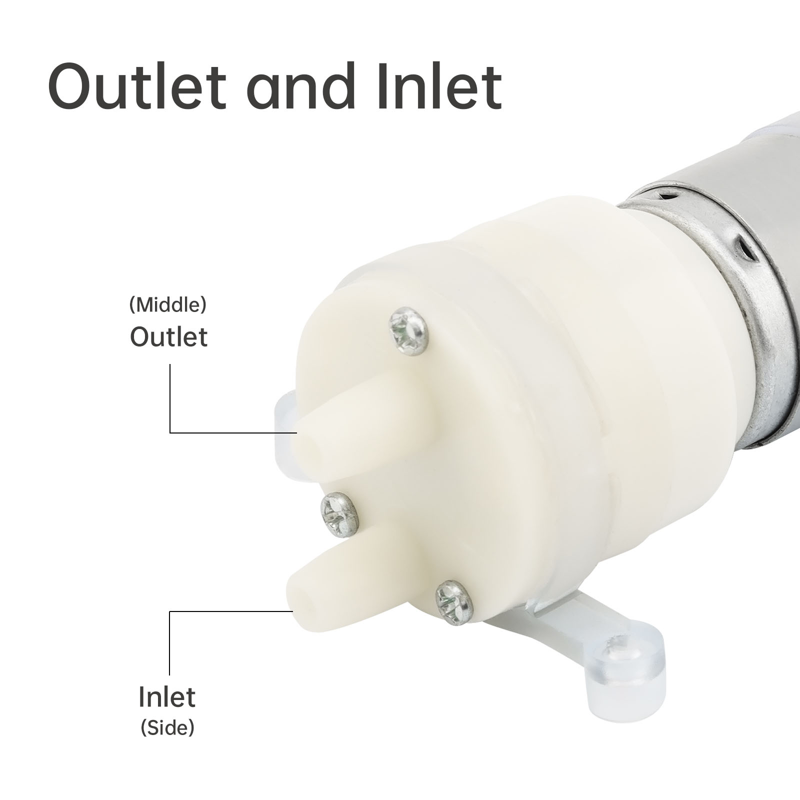 R365 Micro ปั๊มน้ํามอเตอร์ DC  - Mini Peristaltic Pump 12V บทวิจารณ์และราคา
